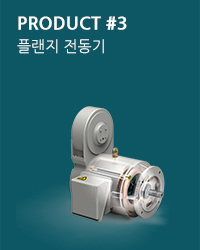 플랜지 전동기 제품 사진